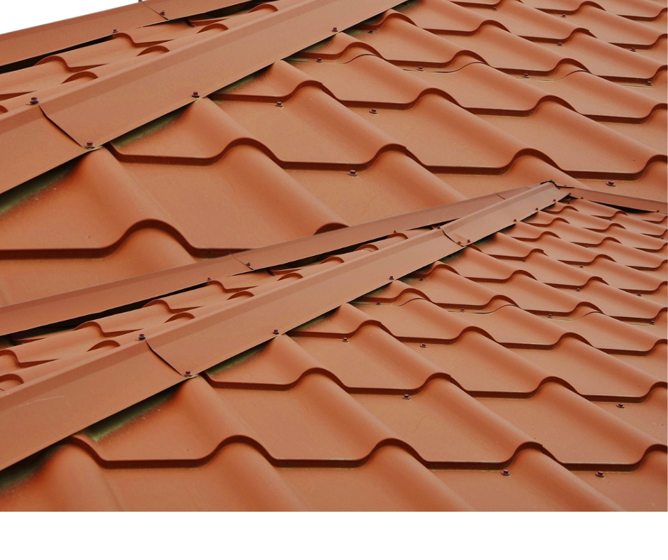 best time to walk for weight loss and better health (7)